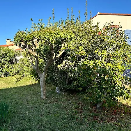 Maison Avec Clim Grand Jardin Entre Plages Et Village Argelès-sur-Mer